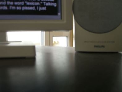 photoblog: exiguous picture 1